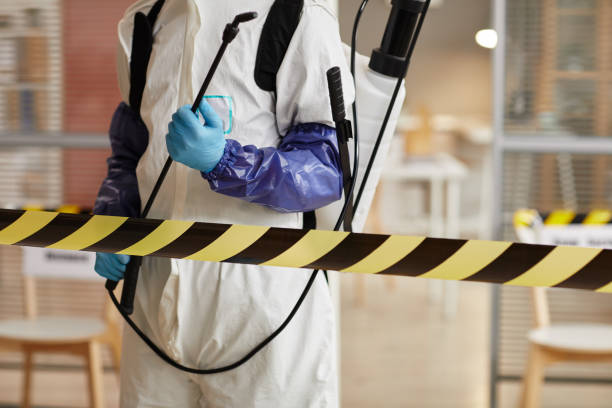 Professional Blood Cleanup technician working in Omaha, TX